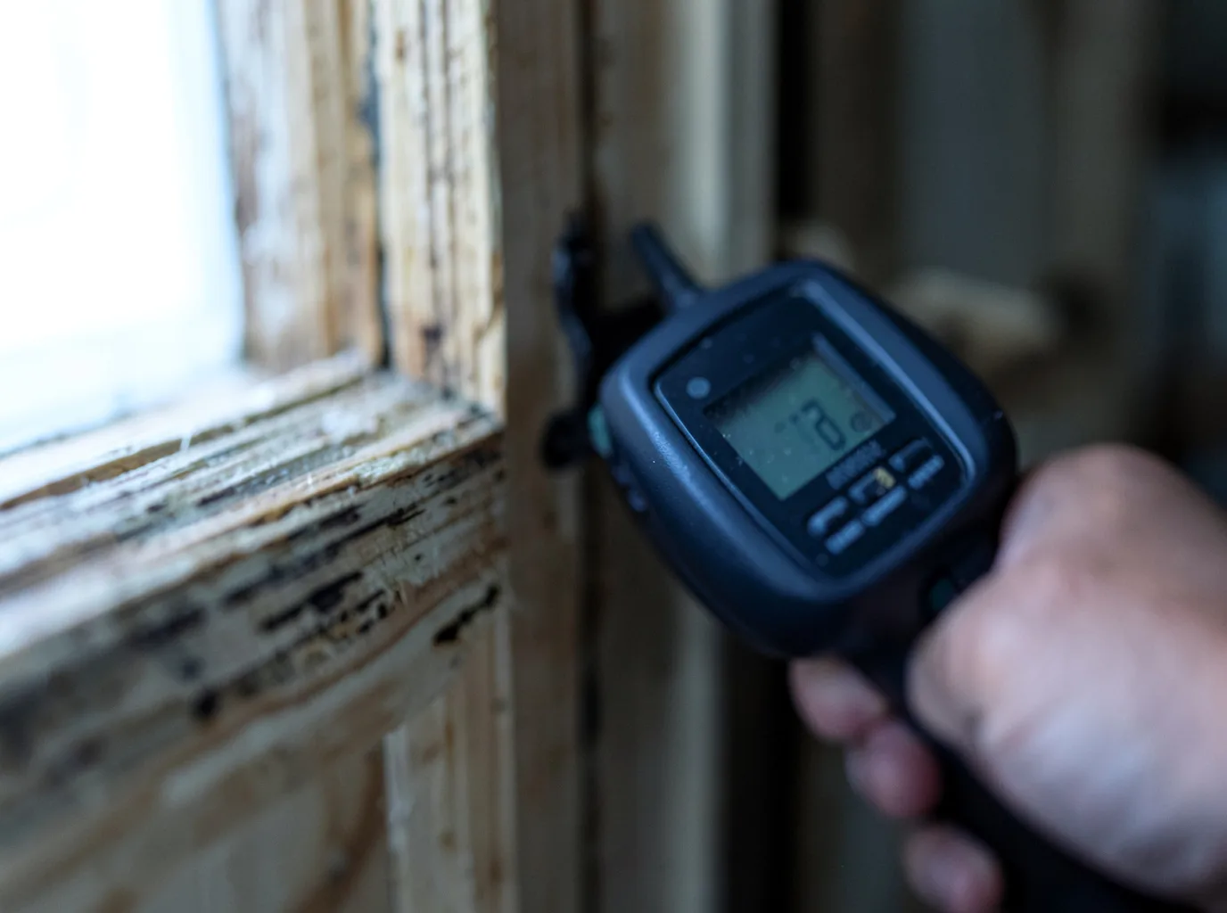 Moisture Inspection And Documentation in East Walpole, MA